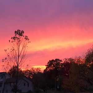 Meet your Posher, Maddy